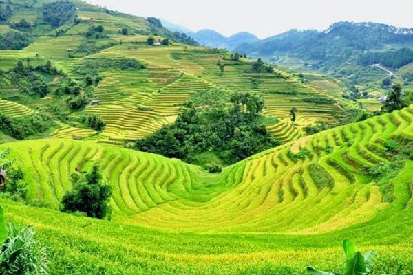 Tour Hà Giang 5 ngày 4 đem